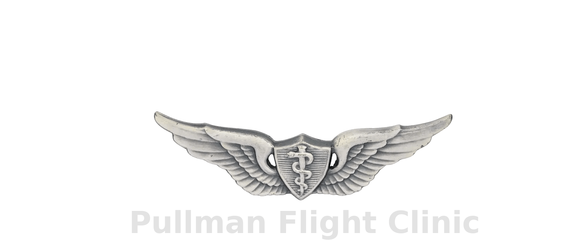 Large Pullman Flight Clinic logo